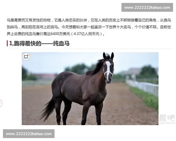 赛马运动的发展趋势与竞技策略全面解析与实践指导